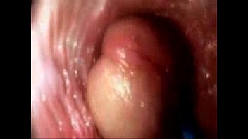 Guía sexual Ver un pene dentro de la vagina