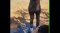 Moroccan ass