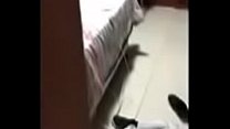 Le riprese hanno nascosto un fottuto fratello a un gatto