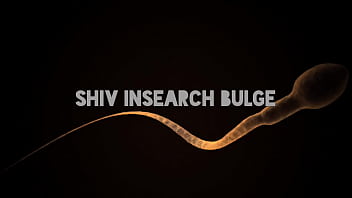 Shiv Insearch Bulge