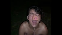 豚の小便シャワー