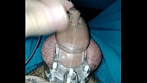 Gay locked in chastity asks to get out - Gay em castidade pede para sair da cage