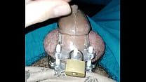 Gay locked in chastity asks to get out - Gay in chastity asks to get out of cage