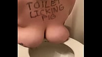 Fuckpig porno justafilthycunt umiliante porno in bagno che lecca e grugnisce come un porco arrapato