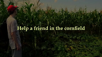 Aidez un ami dans le champ de maïs