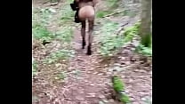 Bad wife naked in forest