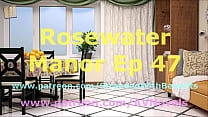 Rosewater Manor 47