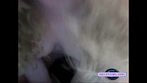 [moistcam.com] Close up of shaven pussy getting used! [free xxx cam]